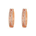 Double row micro inlaid zircon earrings