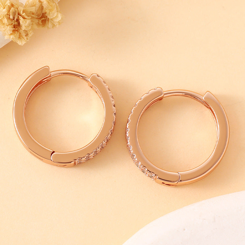 Double row micro inlaid zircon earrings